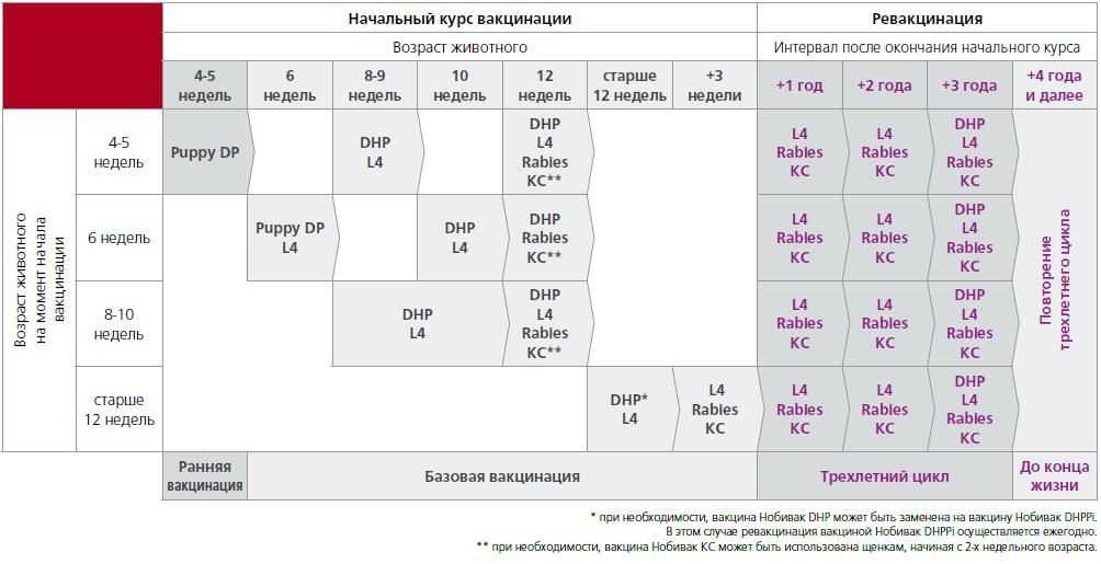 Вакцинация мультиканом щенков схема