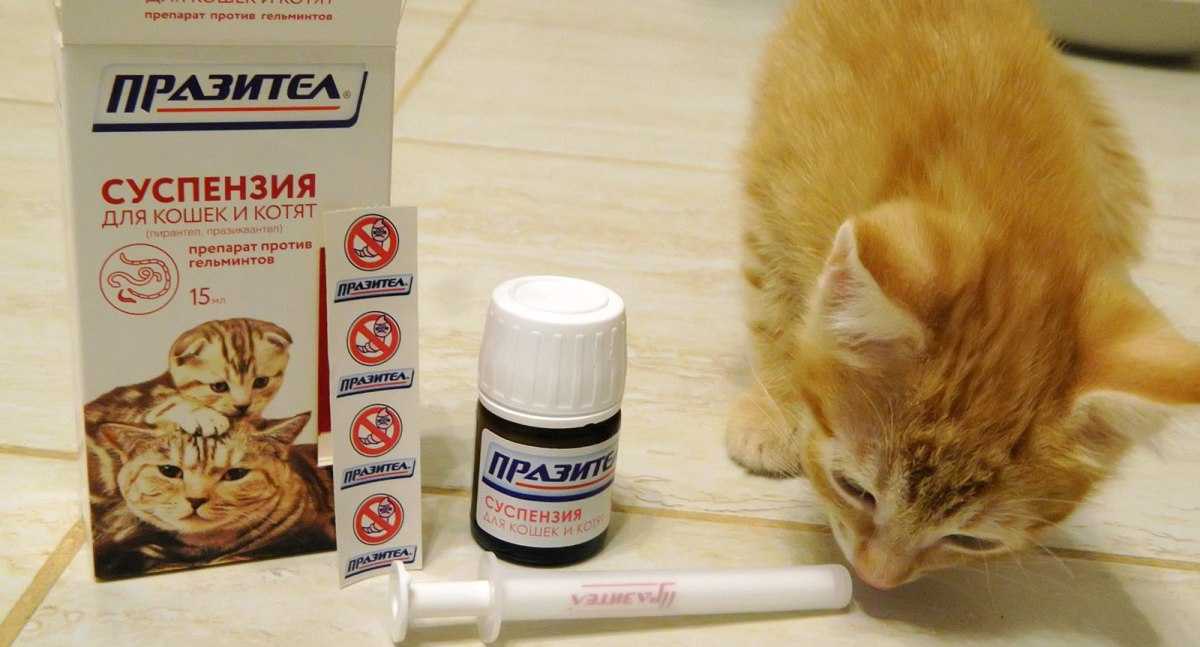Как принять ситуацию, которую не можешь изменить