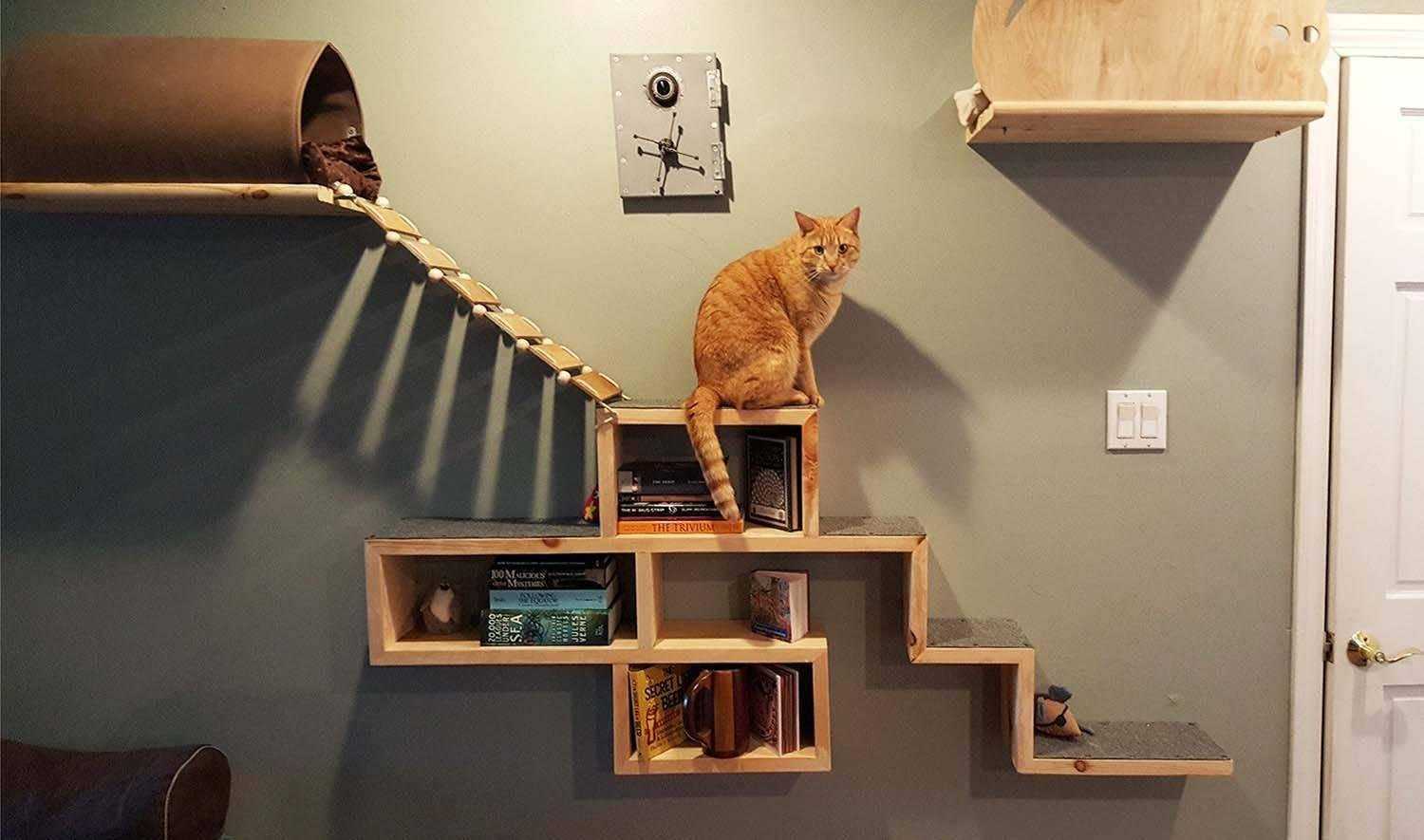 Как развеселить кота