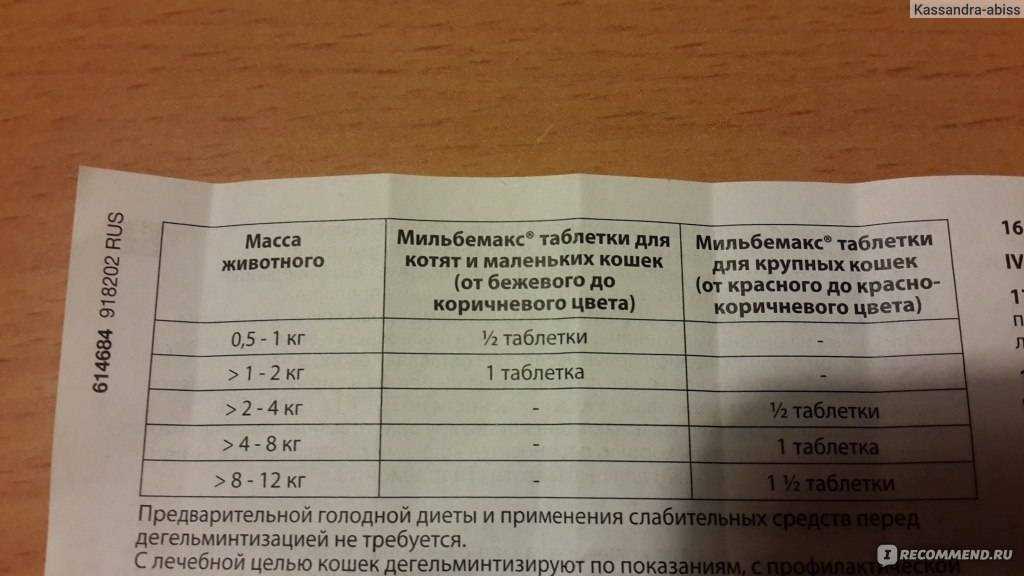 Мильбемакс для кошек – современное средство от гельминтоза