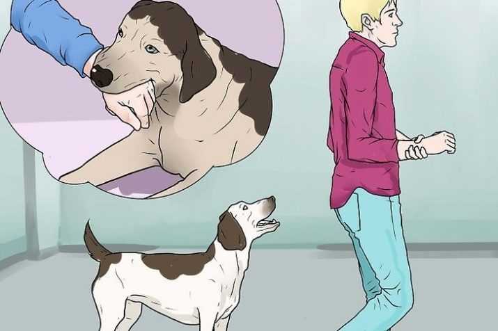Можно ли наказывать собаку за непослушание и шалости