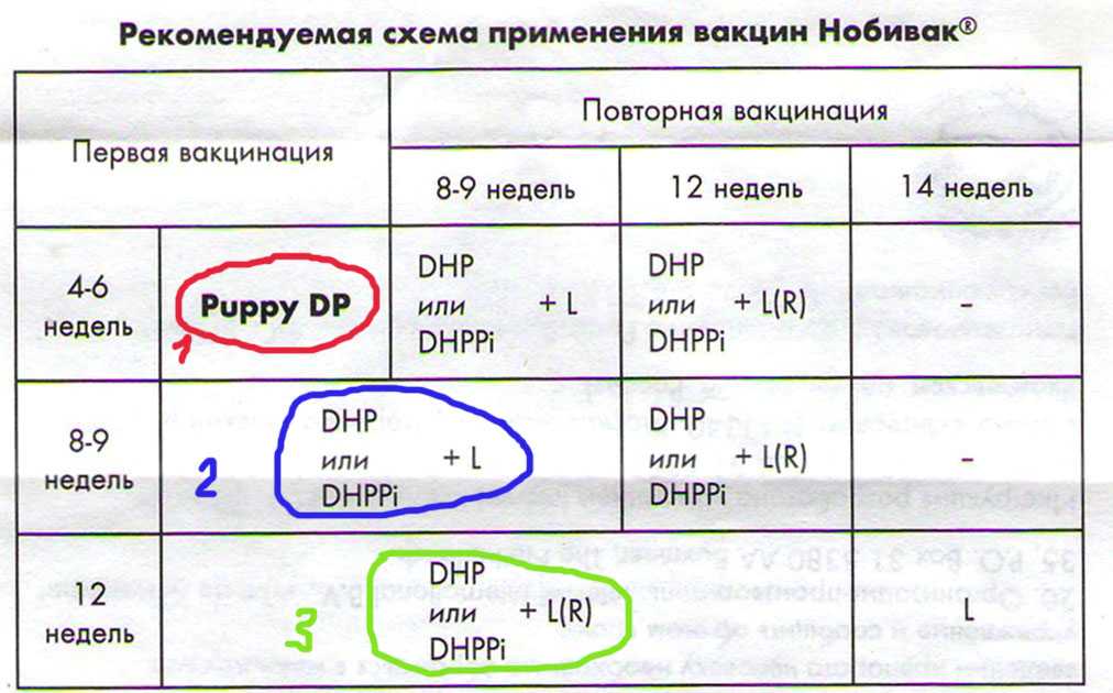 Нобивак схема вакцинации собак