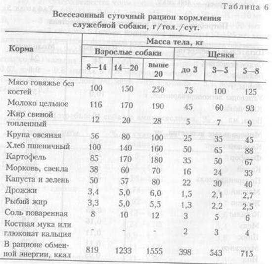 Натуральное кормление собак: чем кормить, как рассчитать рацион, что нельзя давать собаке
