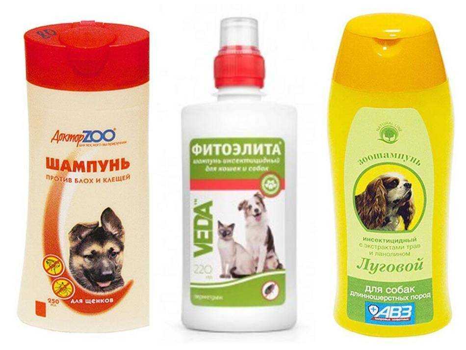 Шампуни от блох для кошек и собак: обзор популярных средств и инструкции по правильному применению