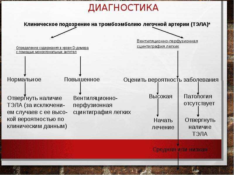 Что такое тромбоэмболия у кошки, причины возникновения и характерные симптомы данной болезни Методы диагностики и способы лечения тромбоэмболии у кошек