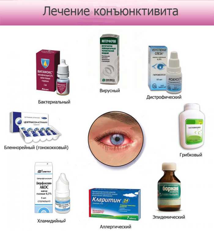 Гнойный конъюнктивит у собак: причины, лечение, профилактика | блог ветклиники "беланта"