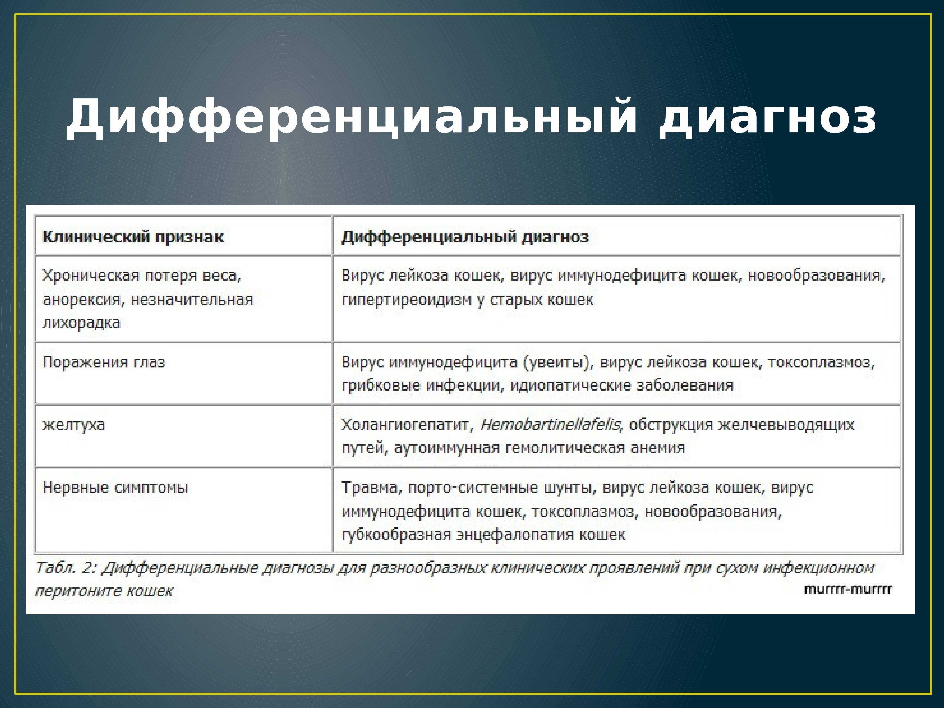 Фип у кошек: как лечить и профилактировать недуг