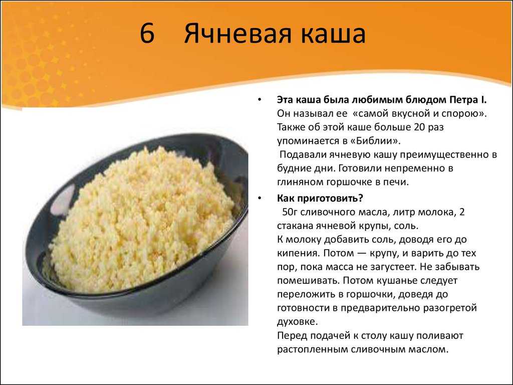 Правильное питание для хаски