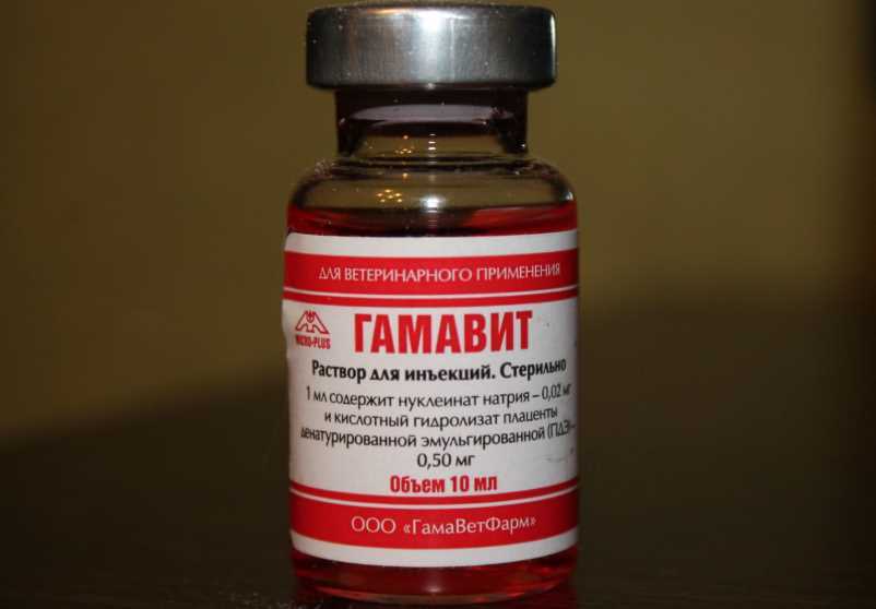 Гамавит средство при истощении, инфекциях, отравлениях, для стимуляции иммунитета для собак и кошек (арт. 12462)
