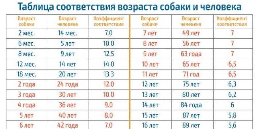 Память человека. виды памяти и их особенности