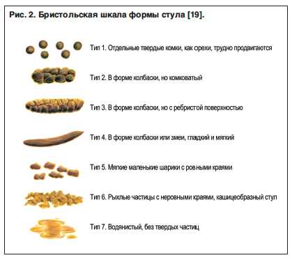Желтый кал у собаки