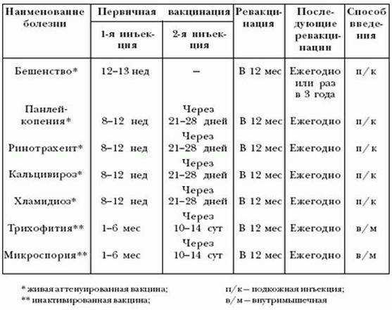 План прививок для котят