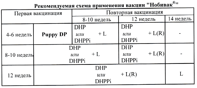 Схема прививки щенков