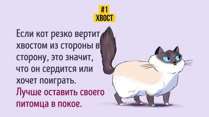 Русско-китайский разговорник для туристов